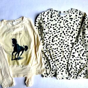 Zara girls size 10 shirts, like new!